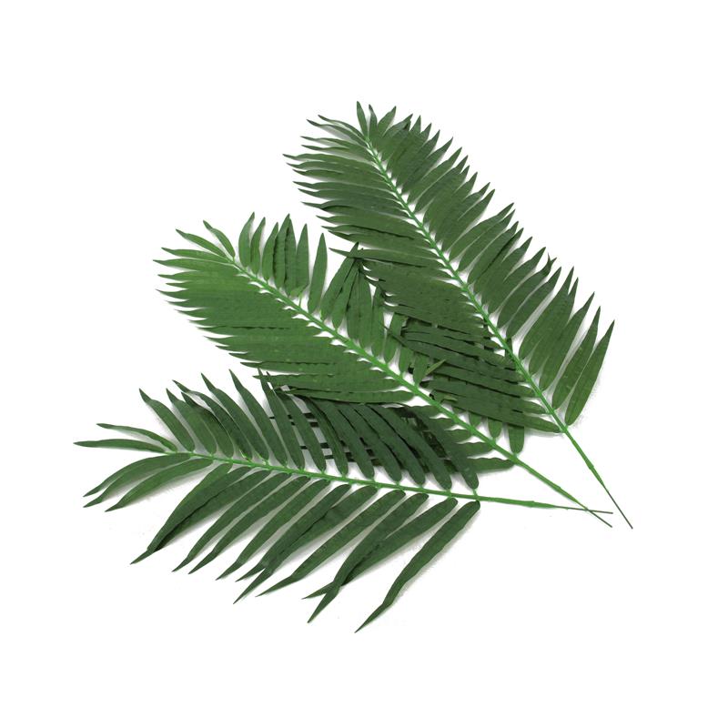 Kokosova palmova veja 110cm 12x EUROPALMS