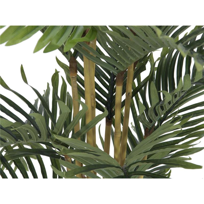 Palma Kentia 140cm EUROPALMS