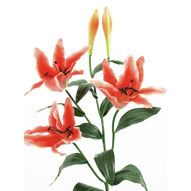 EUROPALMS Tiger lily, orange, 97cm