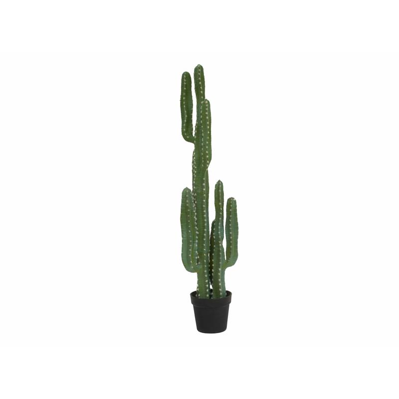 Mehiški kaktus 123cm EUROPALMS