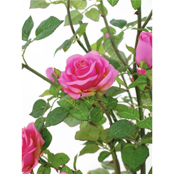 Rose grm smetana 86cm EUROPALMS