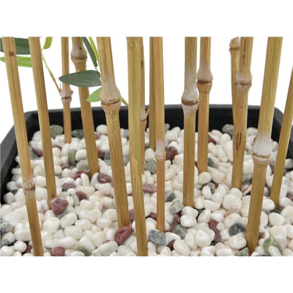 EUROPALMS Bamboo in Bowl, 150cm