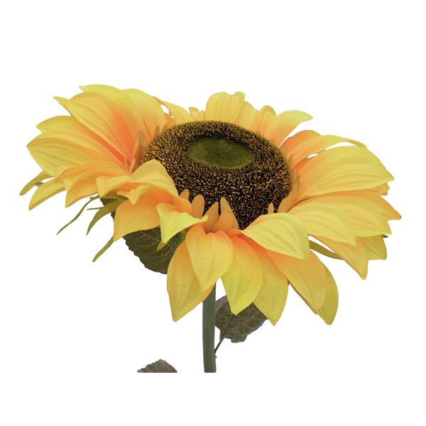 EUROPALMS Sunflower, 130cm