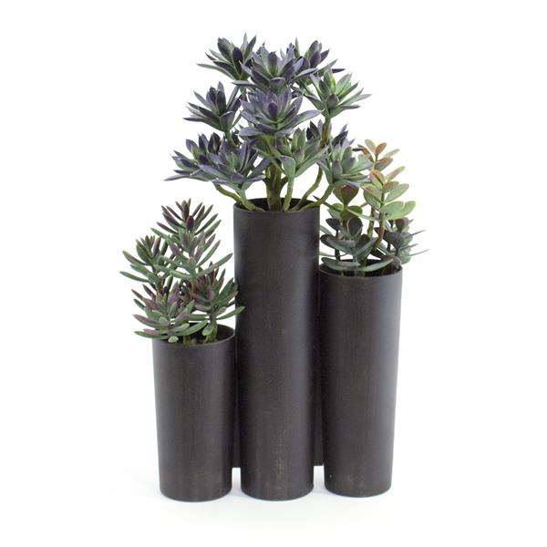 Succulent trio 43cm EUROPALMS