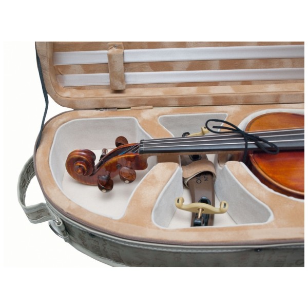 Shaped Case for Violin