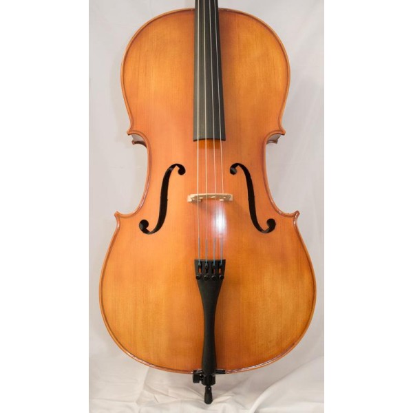 Šolsko violončelo Petz ****