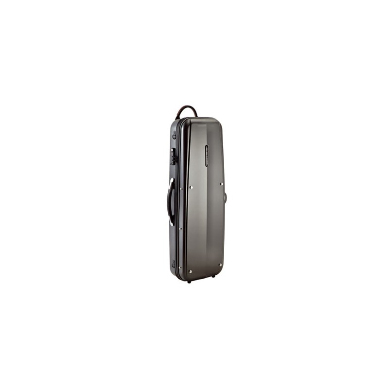 GL Violin Case