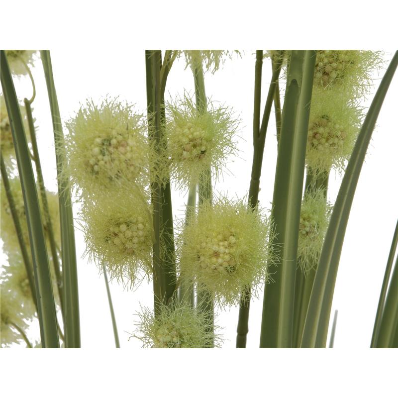 EUROPALMS Allium Grass, 122cm