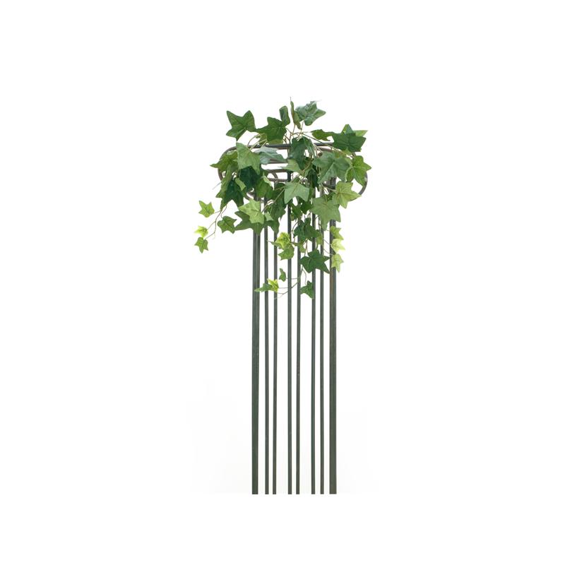EUROPALMS Ivy bush, 60cm