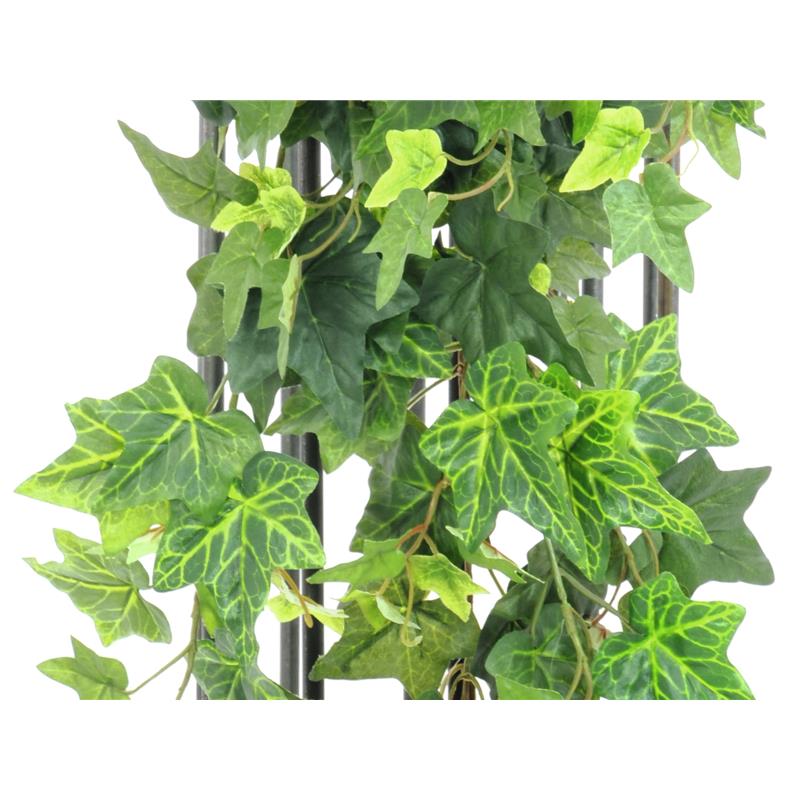 EUROPALMS Ivy bush, 60cm