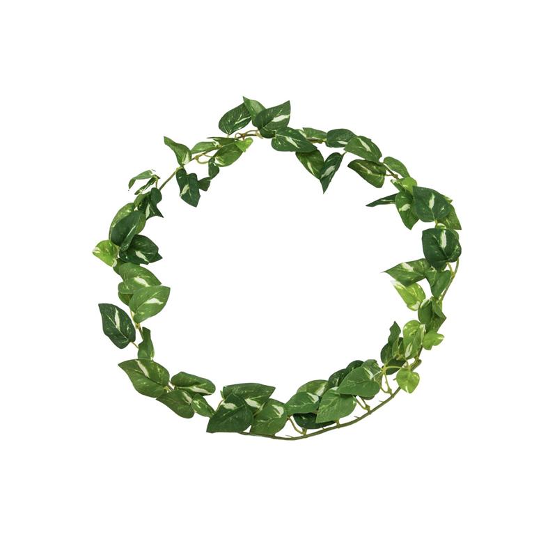 EUROPALMS Pothos garland, 100 cm