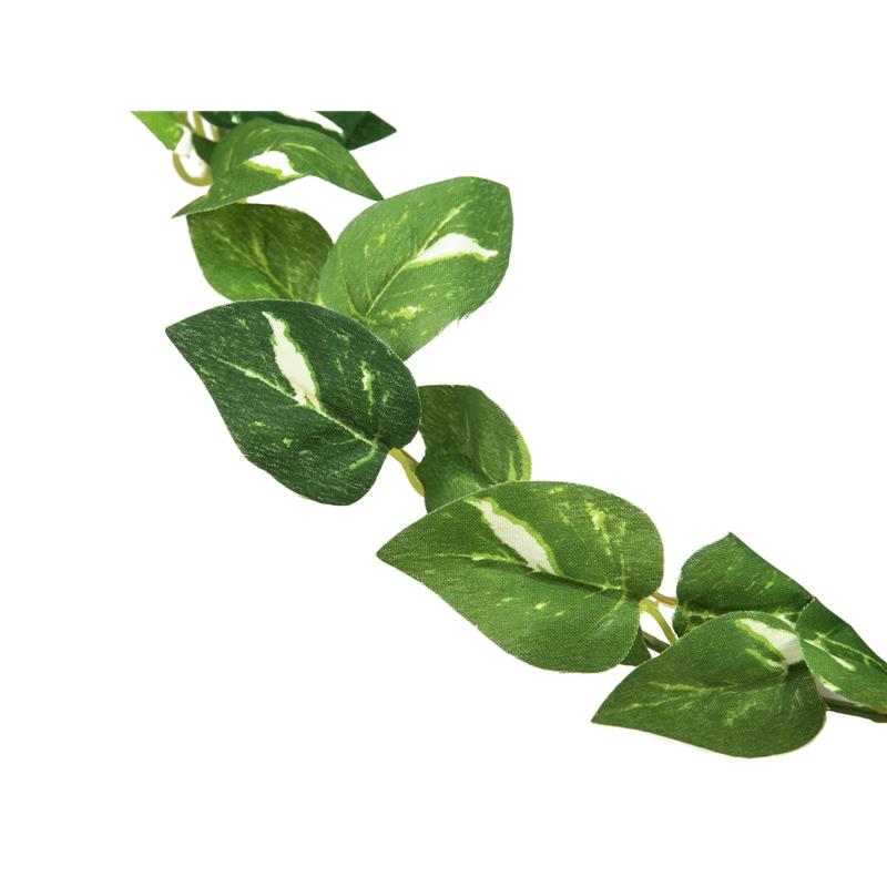 EUROPALMS Pothos garland, 100 cm