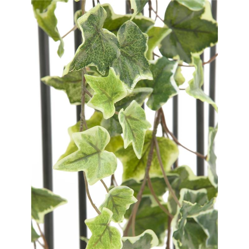 Holland Ivy girland vtisnjen 180cm EUROPALMS