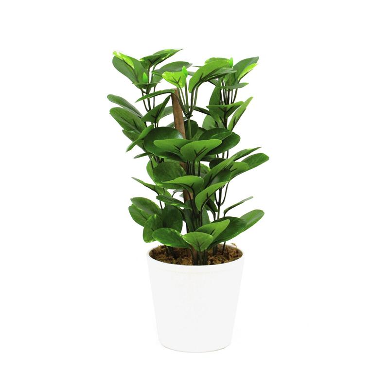 Zeleni list rastline 30cm EUROPALMS