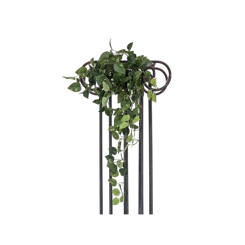 Pothos Bush Tendril Classic 60cm EUROPALMS