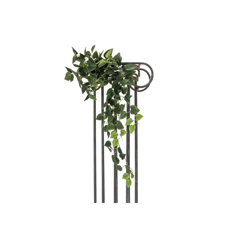 Pothos Bush Tendril Classic 100cm EUROPALMS