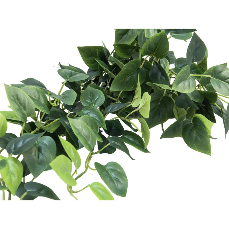 Pothos Bush Tendril Classic 100cm EUROPALMS