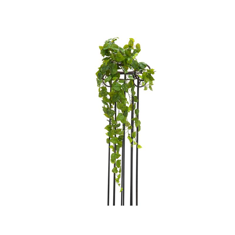 EUROPALMS Pothos Bush Tendril Premium, 100cm