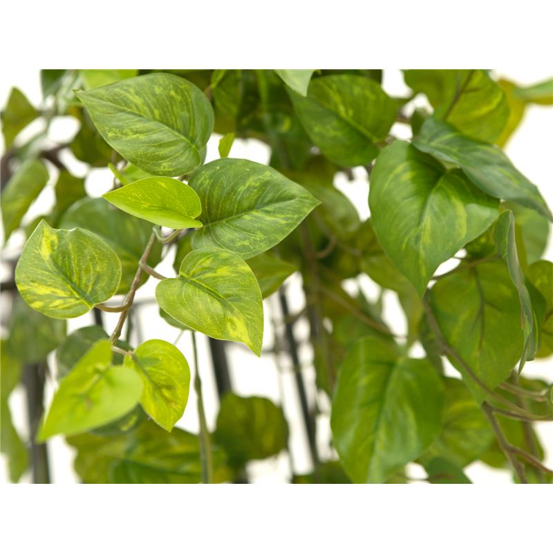 Pothos Bush Tendril Premium 170cm EUROPALMS