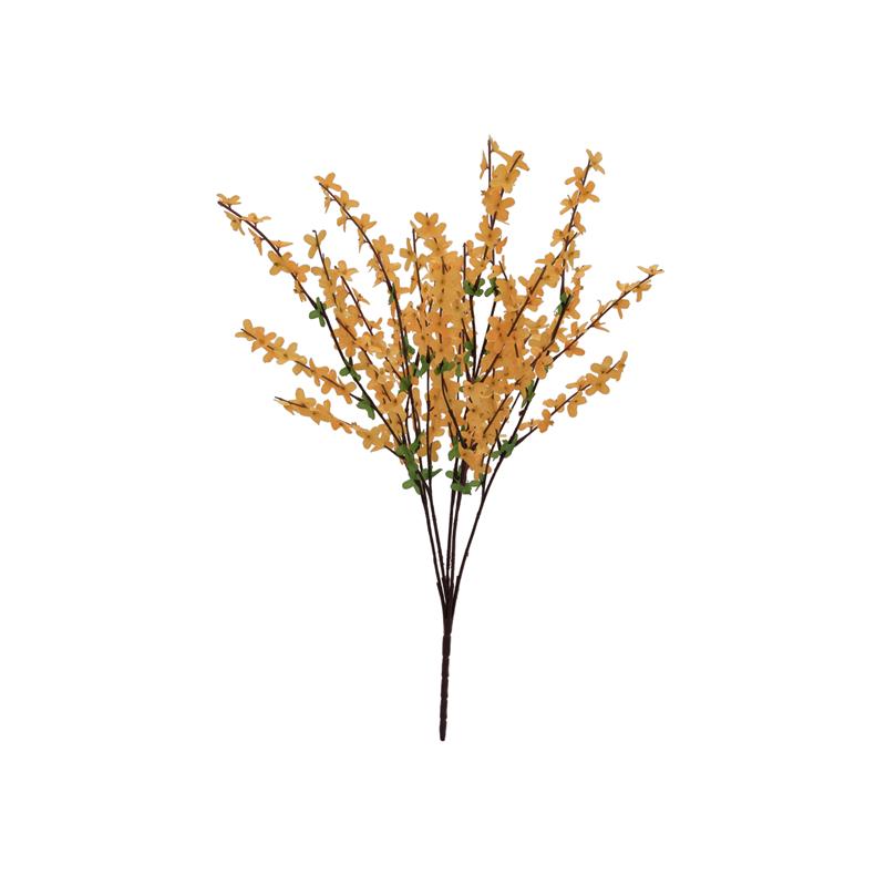 EUROPALMS Forsythia bush, 60cm