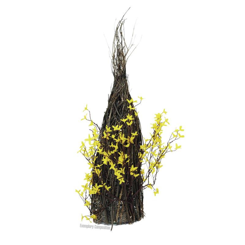 EUROPALMS Forsythia bush, 60cm