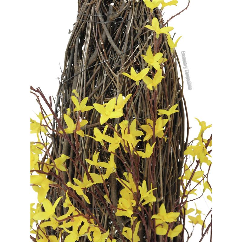 EUROPALMS Forsythia bush, 60cm