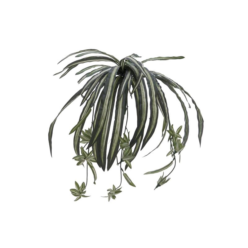 Pajek rastlina 60cm EUROPALMS