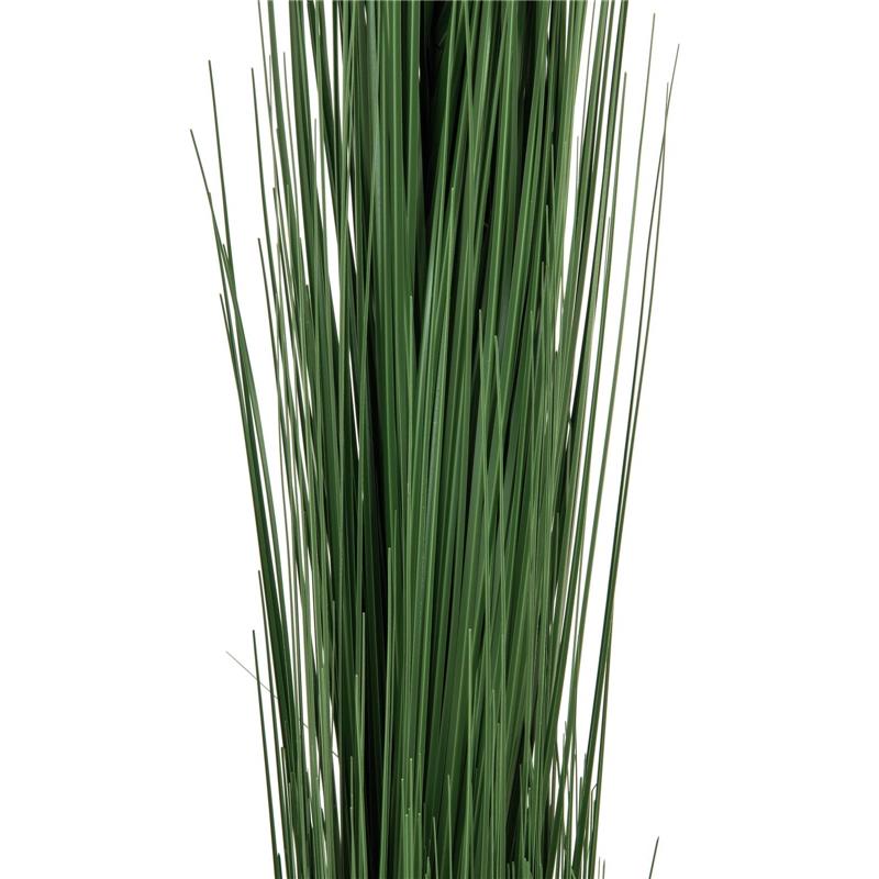 EUROPALMS Reed grass, dark green, 127cm