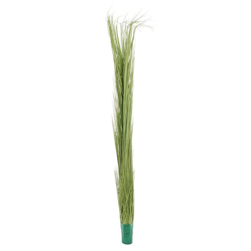 EUROPALMS Reed grass, light green, 127cm