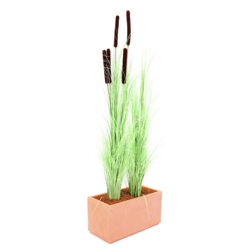 EUROPALMS Reed grass, light green, 127cm