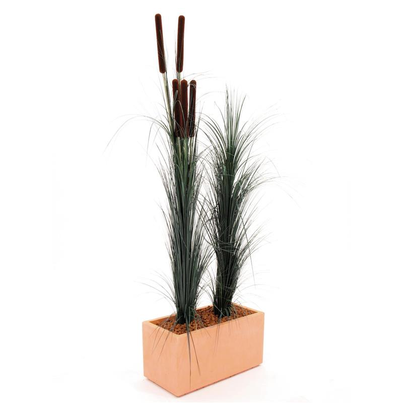 EUROPALMS Reed grass with cattails,dark-green,152cm