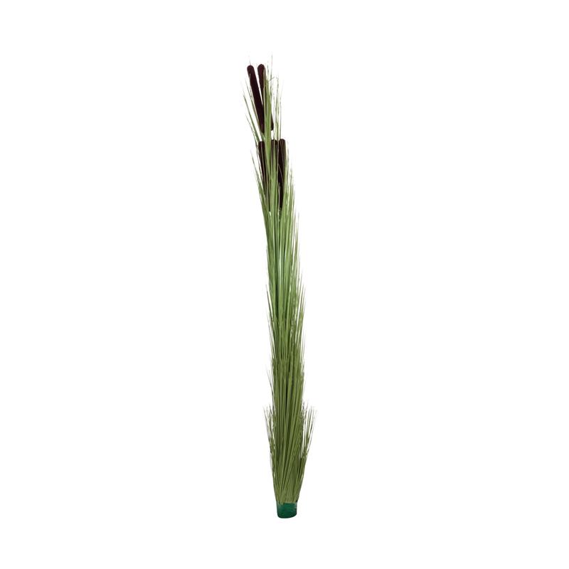 Reed trava cattails svetlo zelena 152cm EUROPALMS
