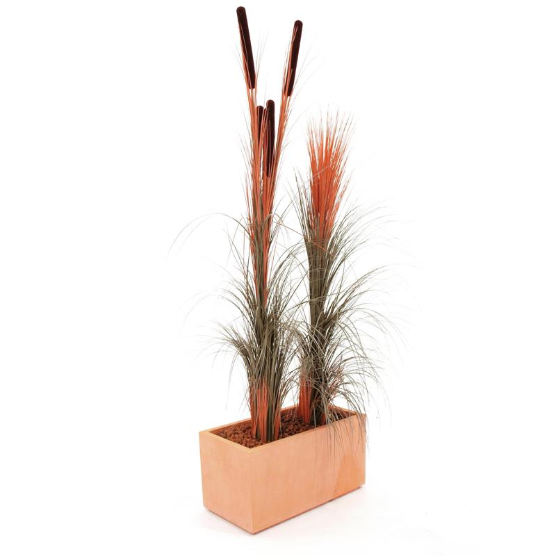 EUROPALMS Reed grass w/ cattails, light-brown,152cm