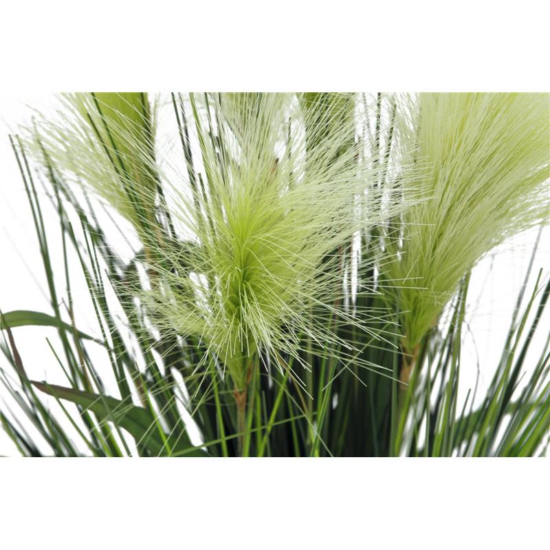 EUROPALMS Feather grass, white, 60cm