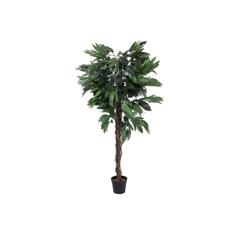 Jungle drevo Mango 150cm EUROPALMS