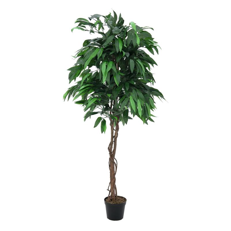 Drevo iz džungle Mango 180cm EUROPALMS