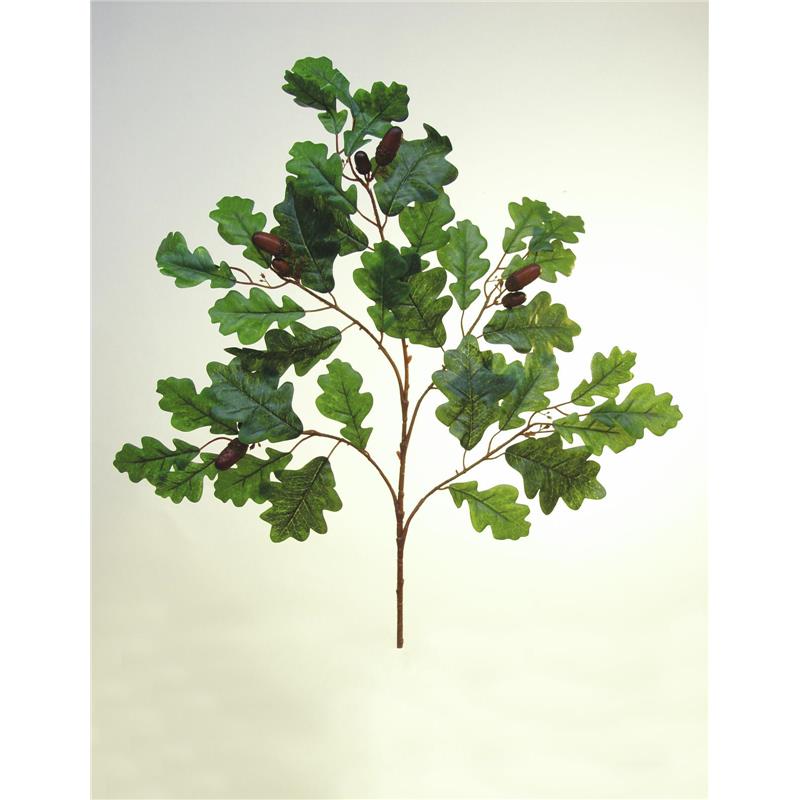 EUROPALMS Oak Sprays with Acorns 6x