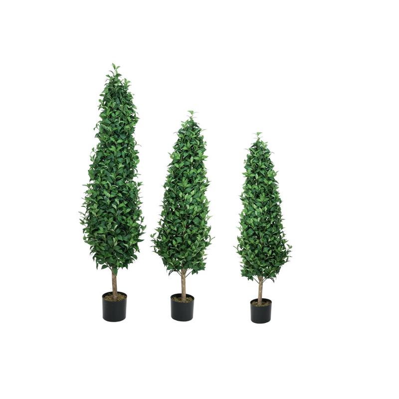 EUROPALMS Laurel Cone Tree, 150cm