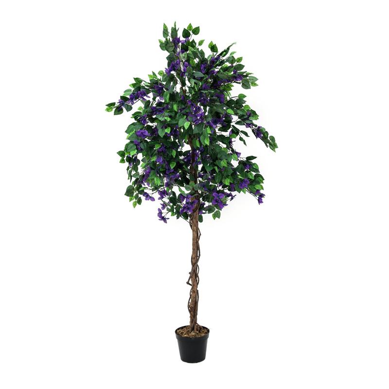 EUROPALMS Bougainvillea, lavender, 180cm