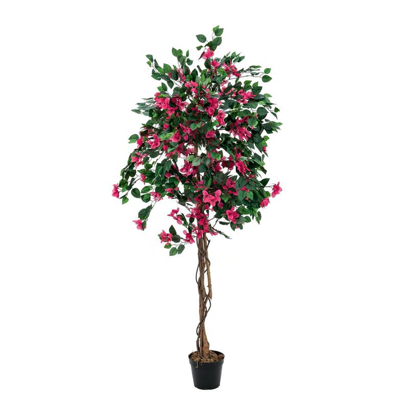 EUROPALMS Bougainvillea, red, 150cm