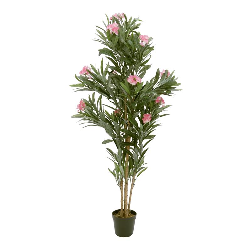 Oleander drevo roza 150 cm EUROPALMS