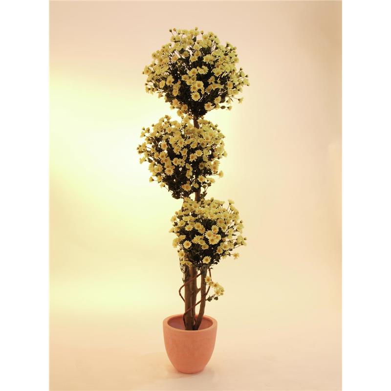 EUROPALMS Daisy tree, 160cm