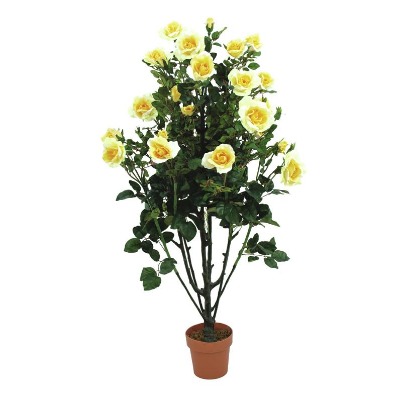 EUROPALMS Rose shrub, light-yellow, 140cm