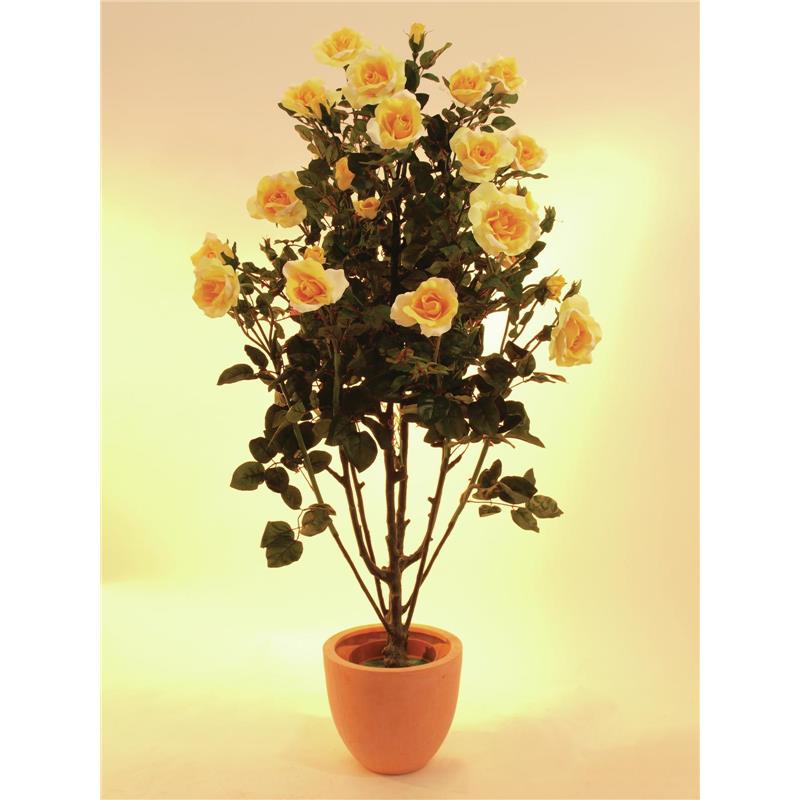 EUROPALMS Rose shrub, light-yellow, 140cm