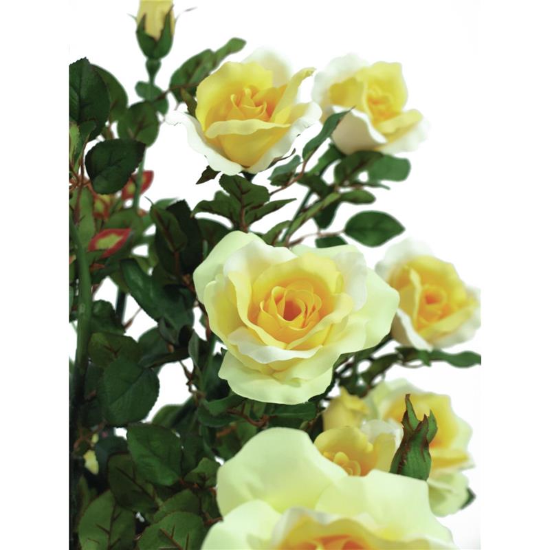 EUROPALMS Rose shrub, light-yellow, 140cm