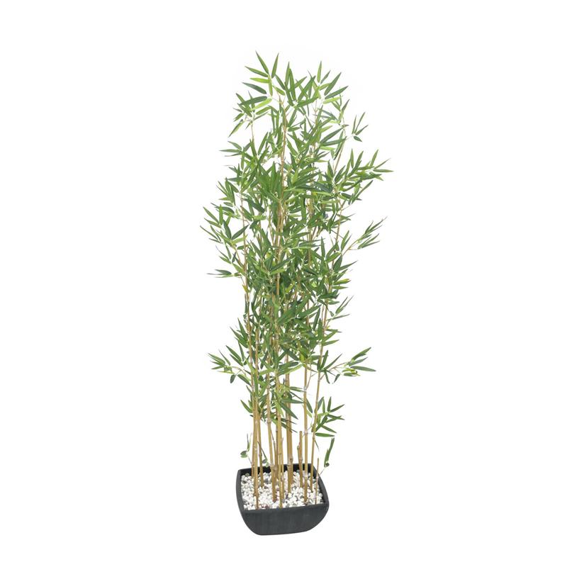 EUROPALMS Bamboo in Bowl, 150cm