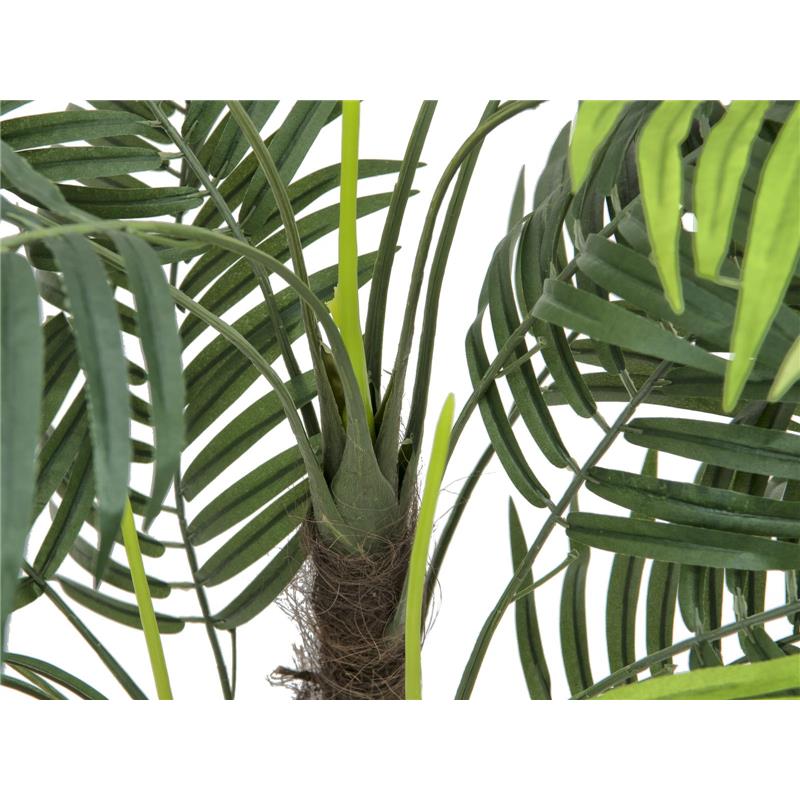 Areca palma 110cm EUROPALMS