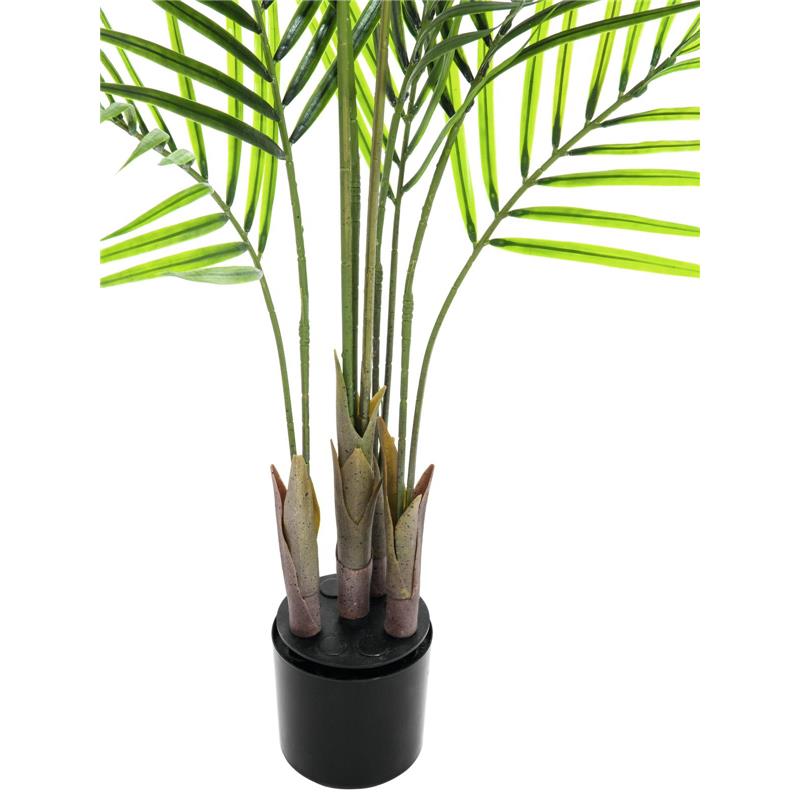Areca palma z velikimi listi 125cm EUROPALMS