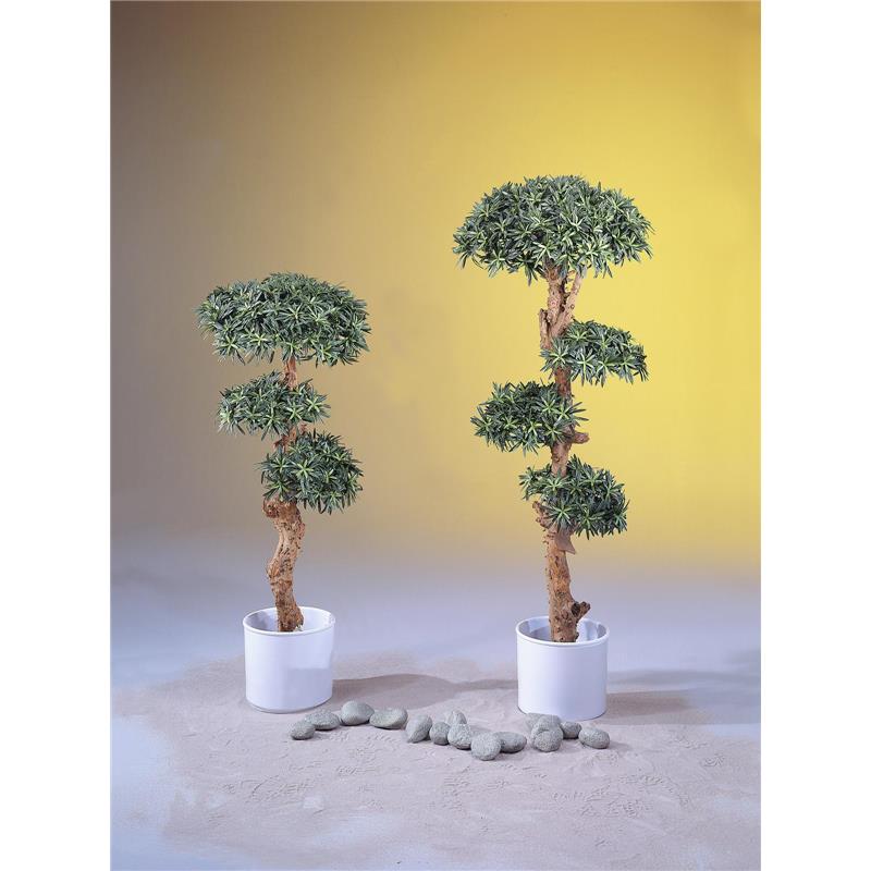 EUROPALMS Bonsai tree, 180cm