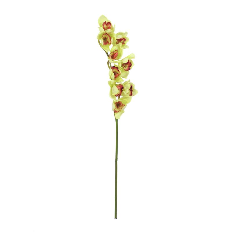 EUROPALMS Cymbidium spray, green, 90cm